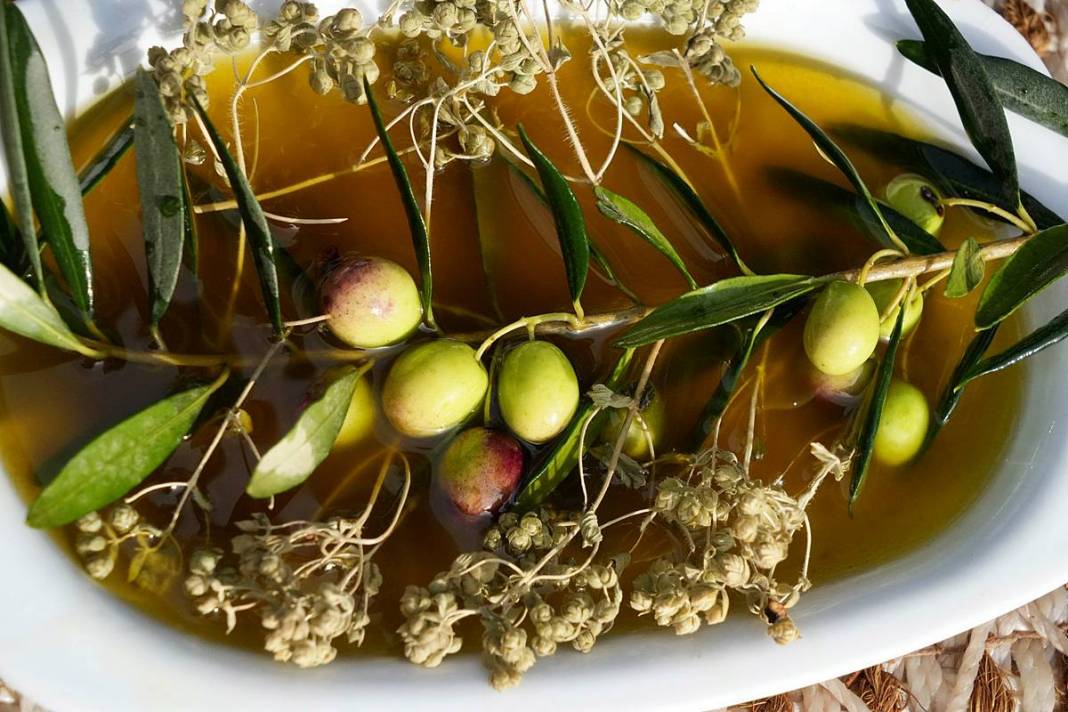 Taş devri yöntemiyle en kral zeytinyağını çıkarıyor! 14